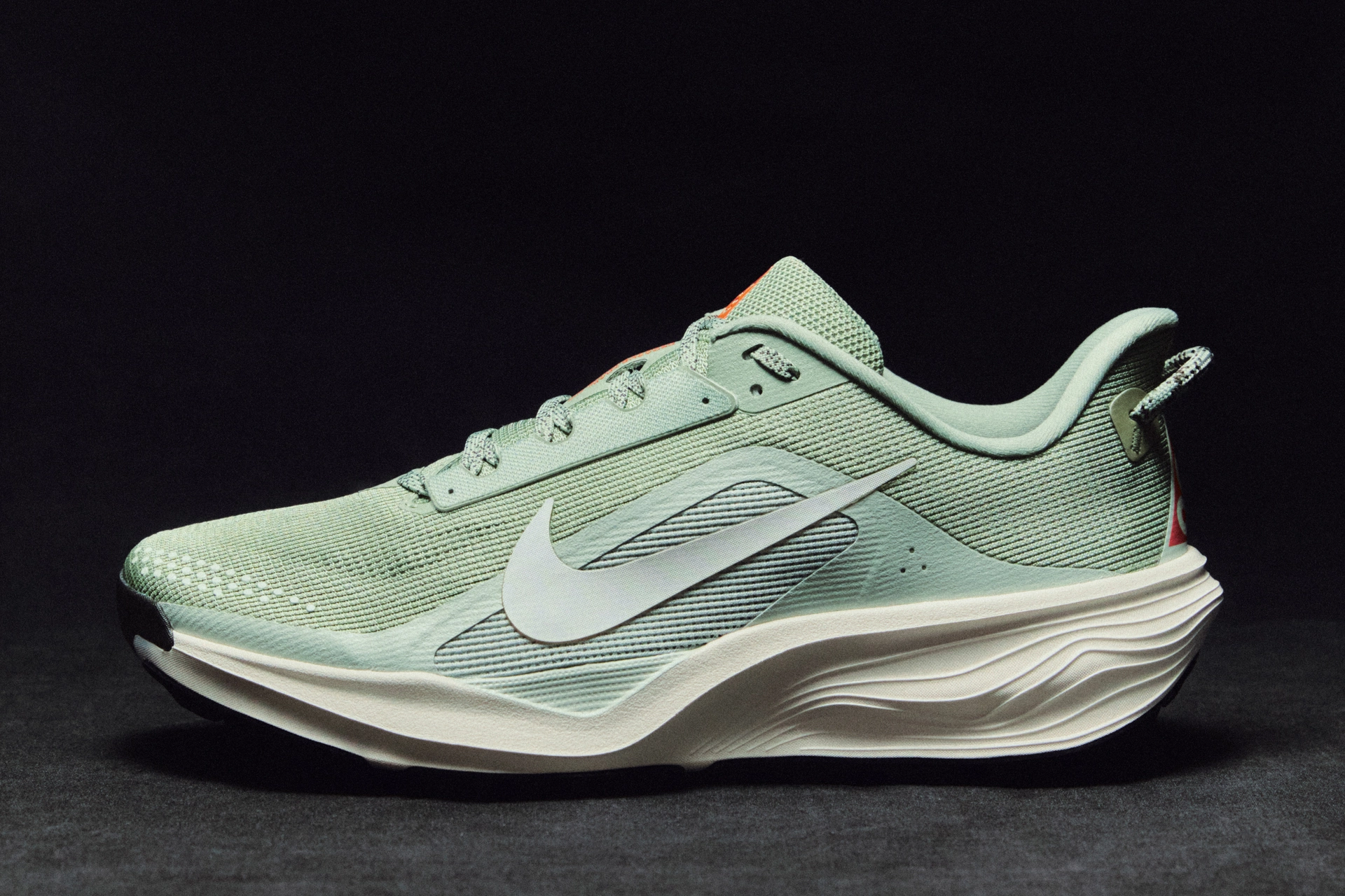 ACG Pegasus Trail